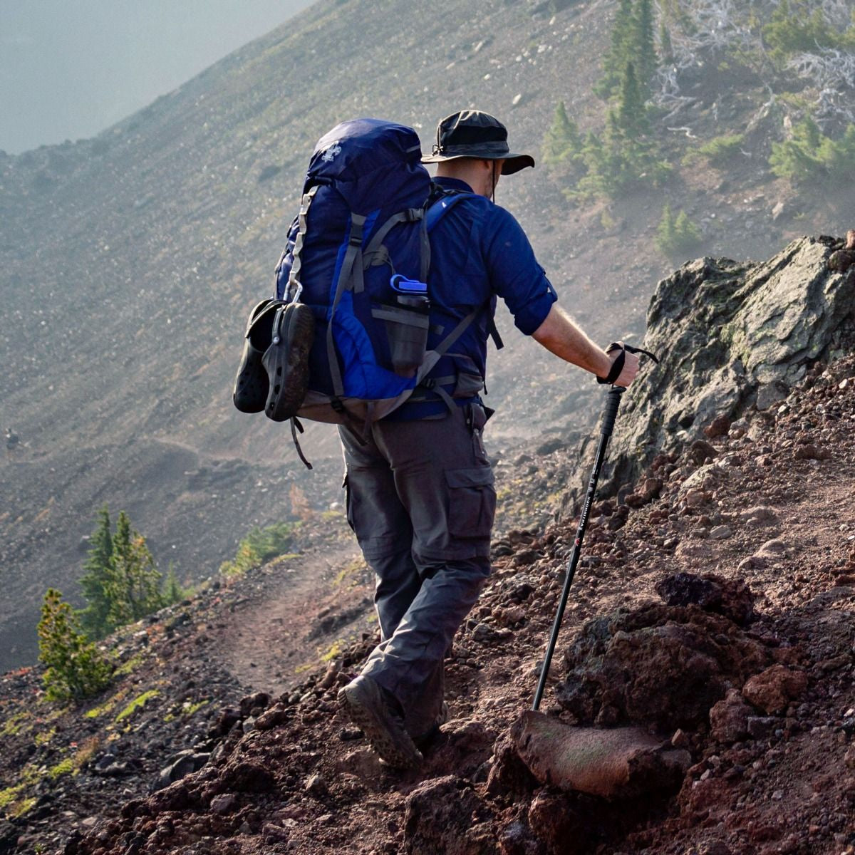 Adjustable Aluminum Hiking and Trekking Pole (65-135 cm)