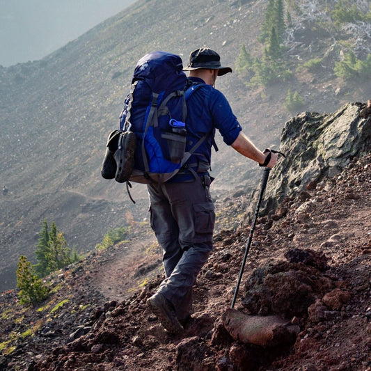 Adjustable Aluminum Hiking and Trekking Pole (65-135 cm)