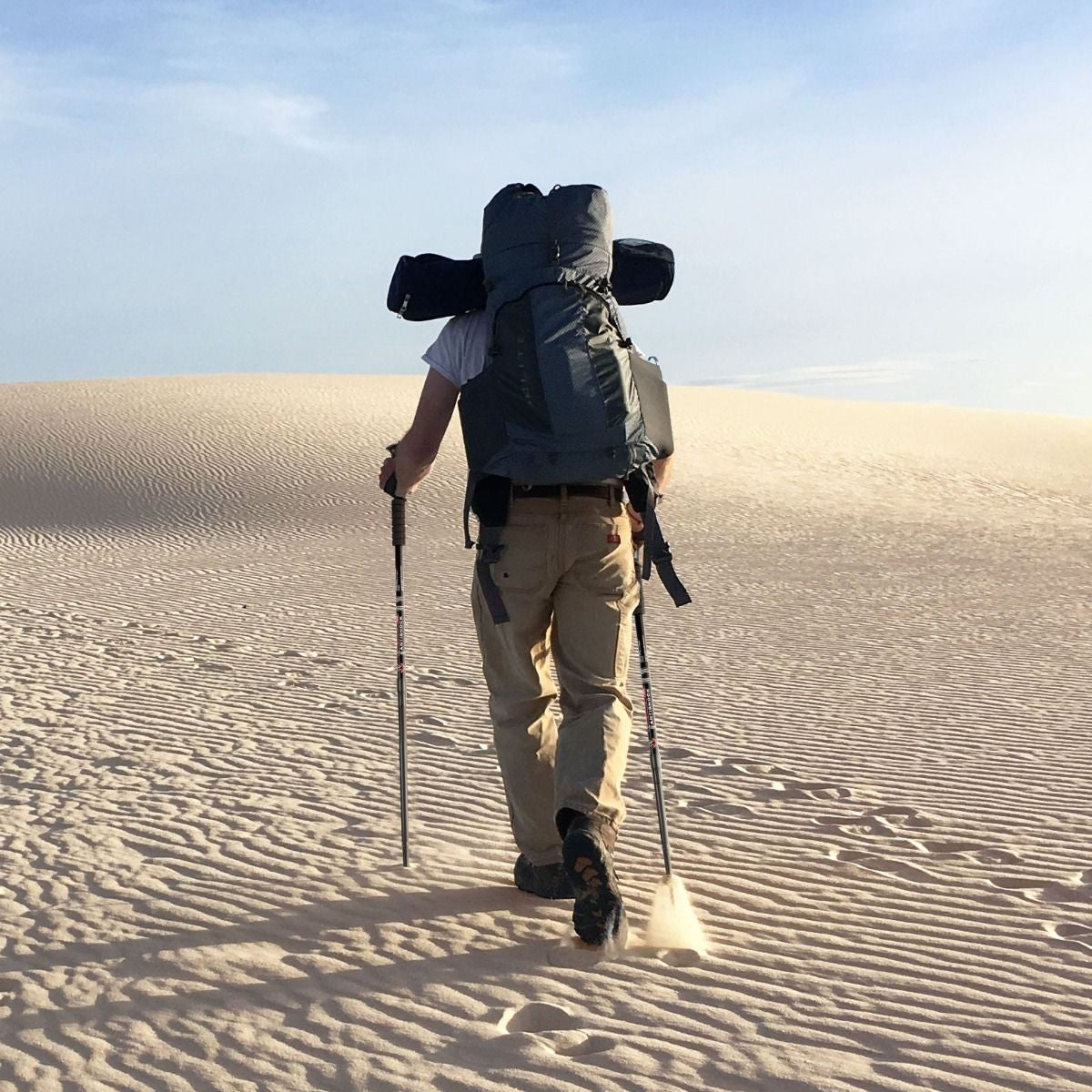 Adjustable Aluminum Hiking and Trekking Pole (65-135 cm)