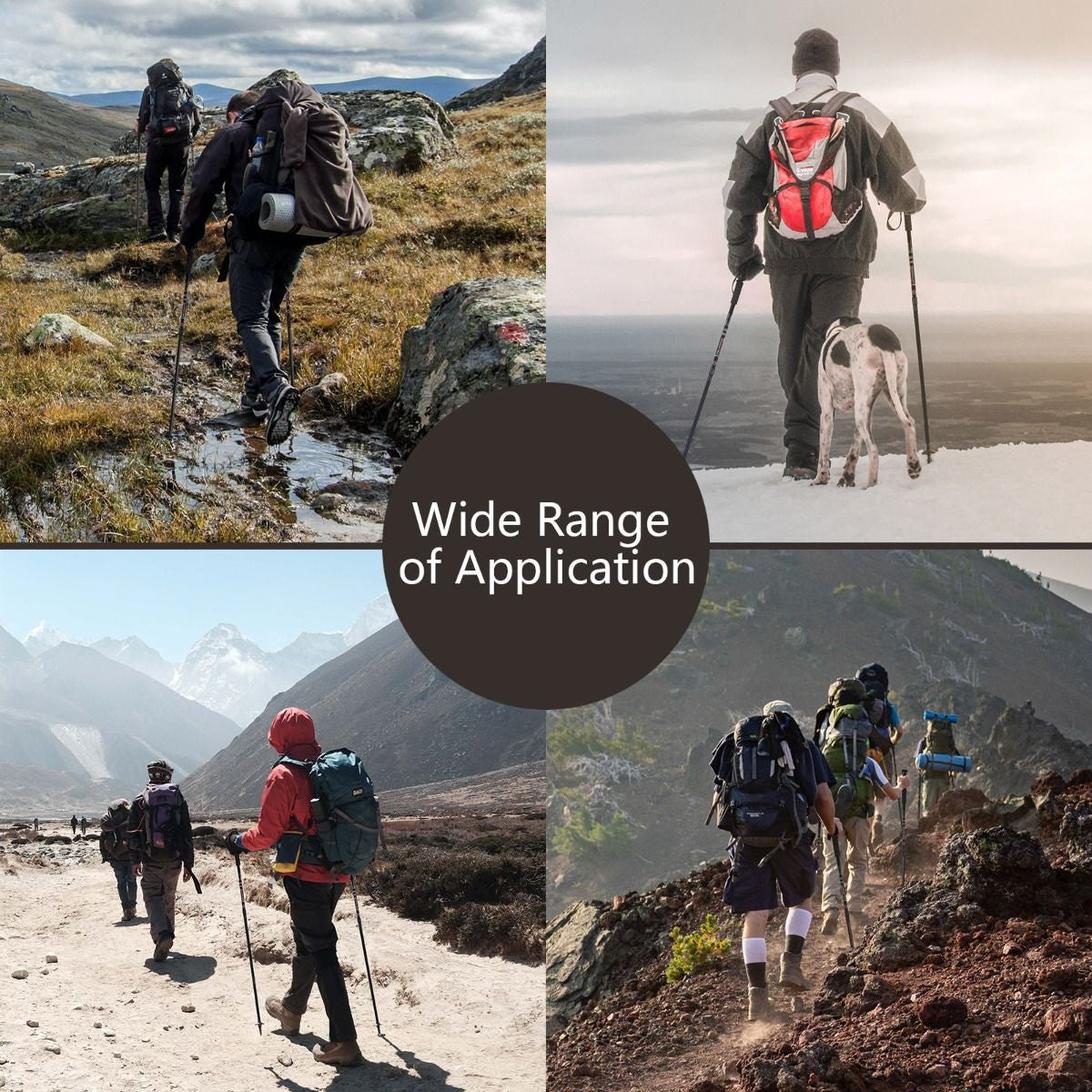 Adjustable Aluminum Hiking and Trekking Pole (65-135 cm)