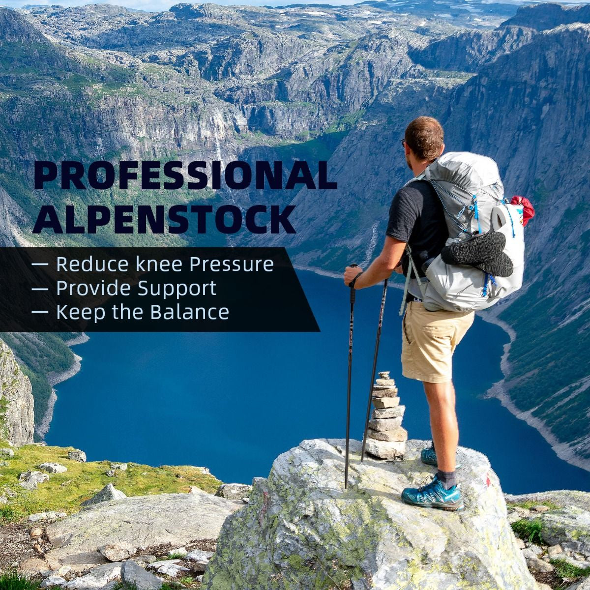 Adjustable Aluminum Hiking and Trekking Pole (65-135 cm)