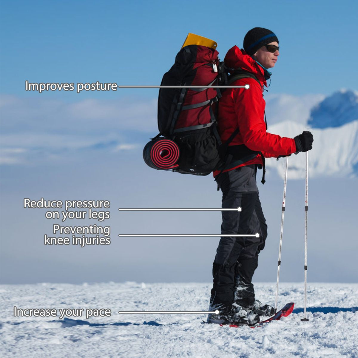 Adjustable Hiking Pole (65-135 cm)