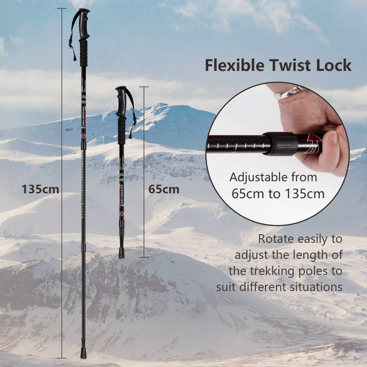 Adjustable Aluminum Hiking and Trekking Pole (65-135 cm)