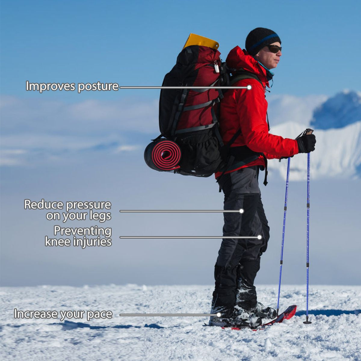 Adjustable Hiking Pole (65-135 cm)