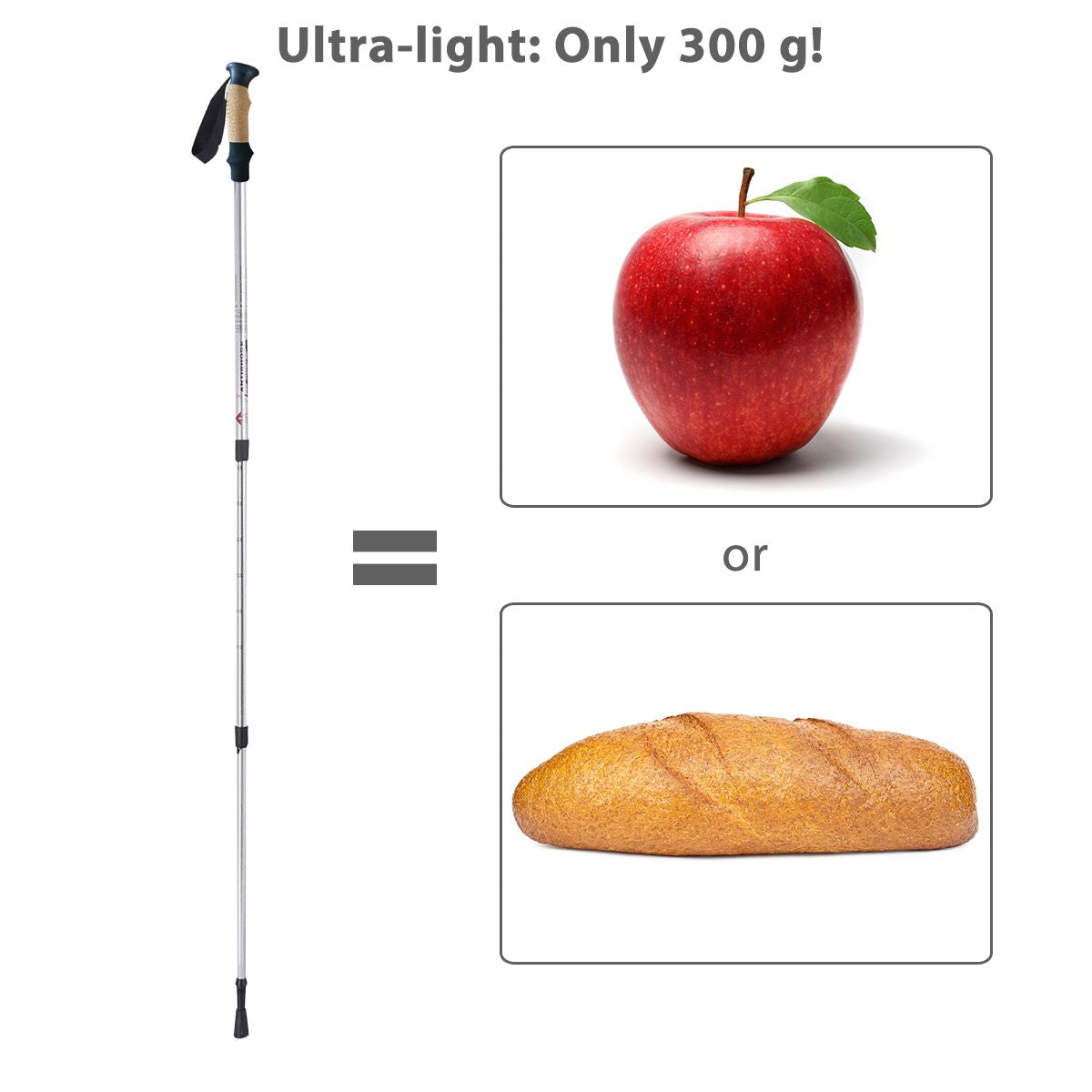 Adjustable Hiking Pole (65-135 cm)